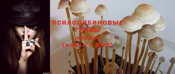 амф Алзамай