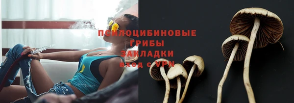 ALPHA PVP Алексин