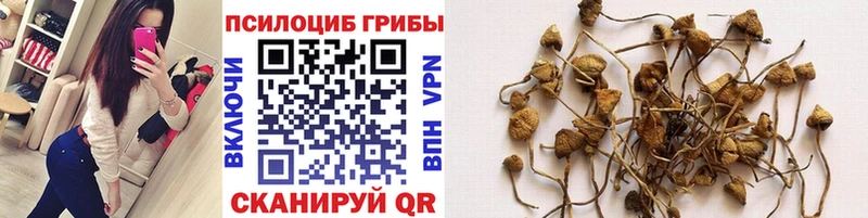 Псилоцибиновые грибы MAGIC MUSHROOMS  купить  сайты  Лагань 